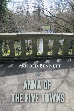 Book cover of Anna of the Five Towns