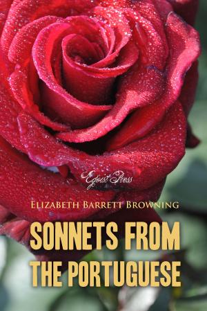 bigCover of the book Sonnets from the Portuguese by 