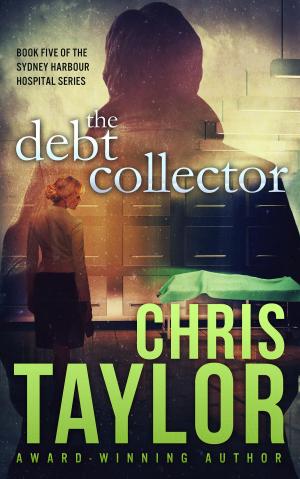 Cover of the book The Debt Collector by Pamphile Lemay