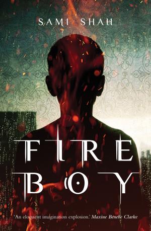 Cover of the book Fire Boy by Suzanne Falkiner