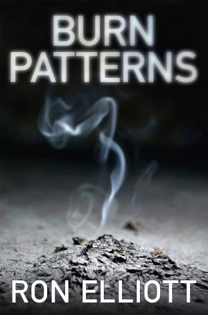 Cover of the book Burn Patterns by Jamie Garrett