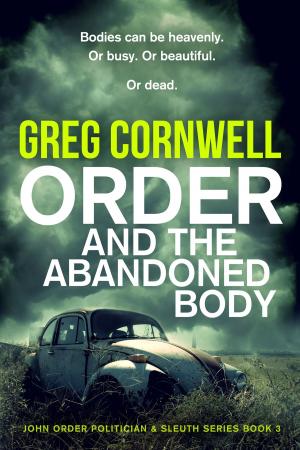 Cover of the book Order and the Abandoned Body by Shenda Paul