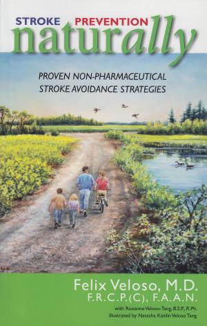 Cover of the book Stroke Prevention Naturally by Allan Kehler