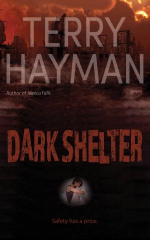 Cover of the book Dark Shelter by Ben Birdy