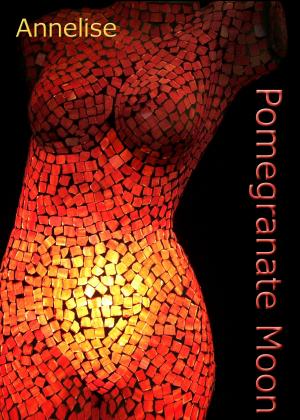 Cover of the book Pomegranate Moon by Celie Bray