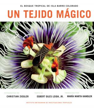 Cover of the book Un Tejido Magico by Smithsonian Institution