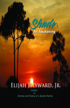 Book cover of Shade: An Awakening