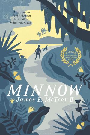 bigCover of the book Minnow by 
