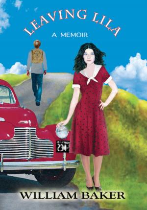 Cover of the book Leaving Lila by Amy Dubois Barnett