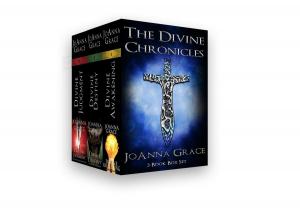 Cover of the book The Divine Chronicles by Kimberly Packard