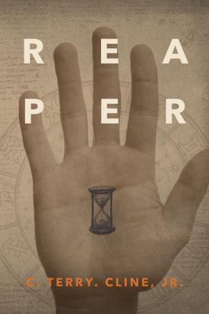 Cover of the book Reaper by Kim Boykin