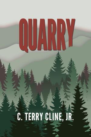 Cover of the book Quarry by Jess Waid