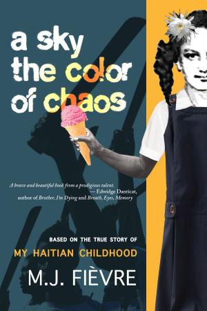 Cover of the book A Sky the Color of Chaos by Nathan Holic