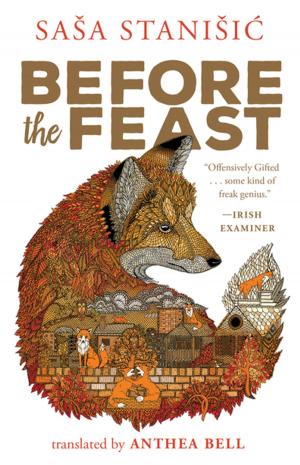 Cover of the book Before the Feast by Win McCormack