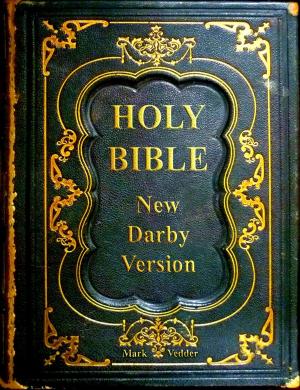 Book cover of Holy Bible New Darby Version