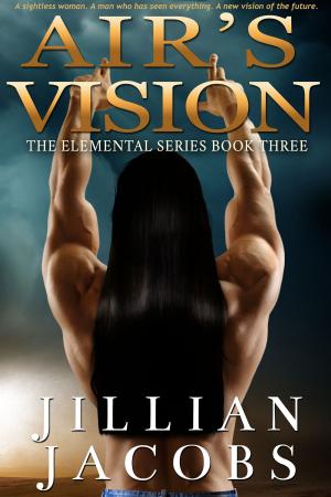 Cover of the book Air's Vision by MeiLin Miranda