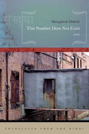 Cover of the book This Number Does Not Exist by Wyn Cooper