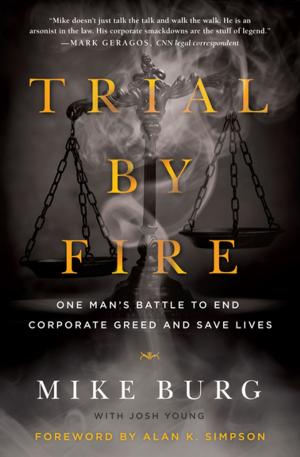 Cover of the book Trial by Fire by David DiSalvo