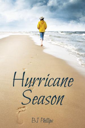 Cover of the book Hurricane Season by AJ Adaire