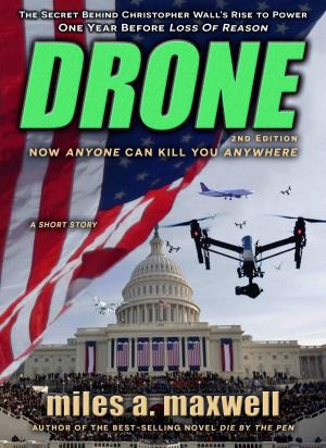 Cover of the book Drone (State Of Reason Mystery, Prequel) by Michael Sova