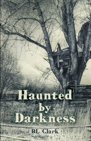 Cover of the book Haunted by Darkness by Karelia Stetz-Waters