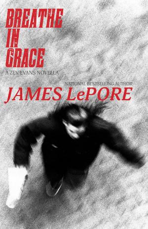 Cover of the book Breathe in Grace by Lou Aronica, editor, Aaron Brown, editor