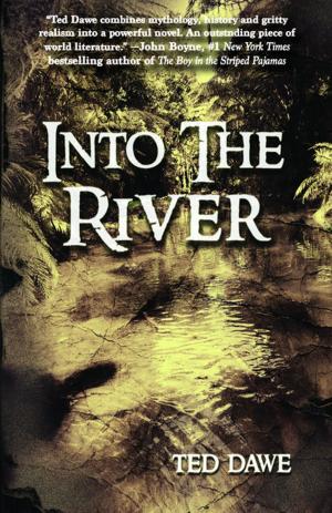 Cover of the book Into The River by Alex Segura