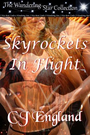 Cover of the book Skyrockets in Flight by Shelley Russell Nolan