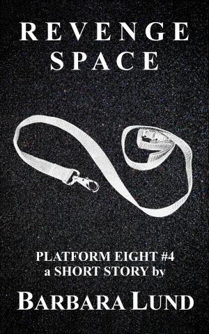 Book cover of Revenge Space