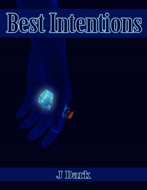 Cover of the book Best Intentions by Christy Diane Farr