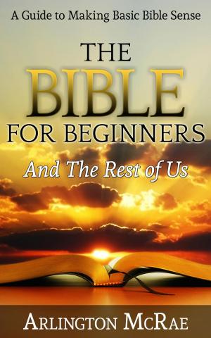 Cover of The Bible For Beginners And The Rest of Us