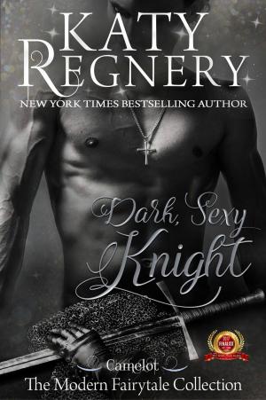 Book cover of Dark Sexy Knight