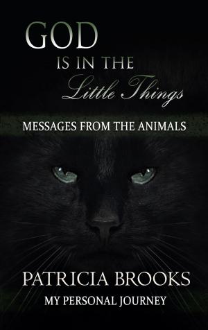 bigCover of the book God is in the Little Things by 