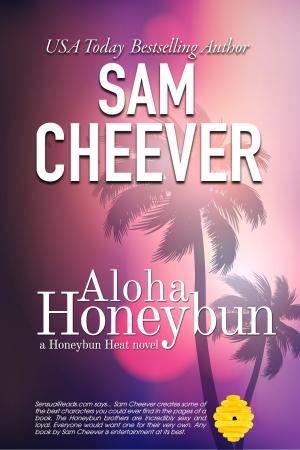 Cover of the book Aloha Honeybun by nikki broadwell