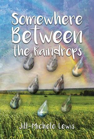 Book cover of Somewhere Between the Raindrops