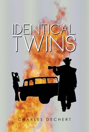 Cover of the book In Pursuit Of Identical Twins by Marie Harris