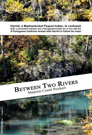 Cover of the book Between Two Rivers by Smiley Face