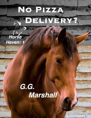 Cover of the book No Pizza Delivery? by Dan Marvin