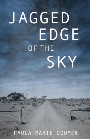 Book cover of Jagged Edge of the Sky