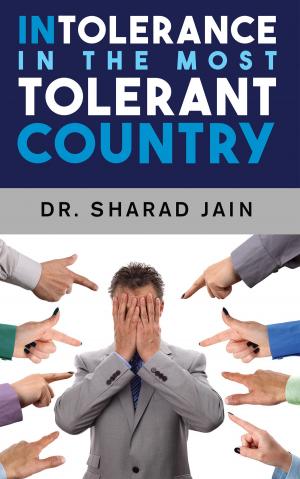 bigCover of the book Intolerance in the Most Tolerant Country by 