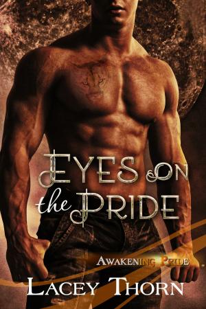 Book cover of Eyes on the Pride