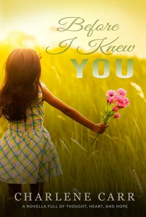 Book cover of Before I Knew You