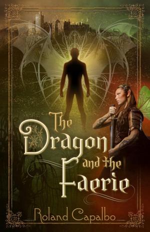 Cover of the book The Dragon and the Fairie by Kelly Hess