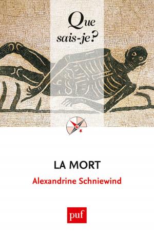 Cover of the book La mort by Jean-Hervé Lorenzi