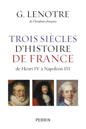 Cover of the book Trois siècles d'histoire de France by Mathieu LAINE