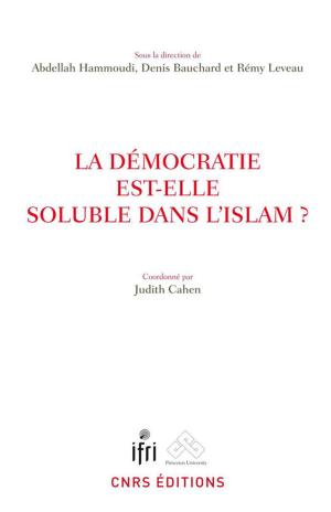 Cover of the book La démocratie est-elle soluble dans l'islam ? by Philippe de Carbonnières