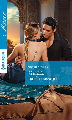 Cover of the book Guidée par la passion by Susan Connell