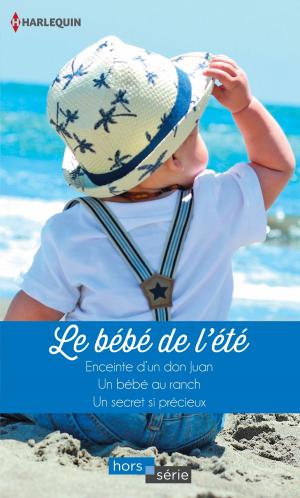 Cover of the book Le bébé de l'été by Anna DePalo, RaeAnne Thayne
