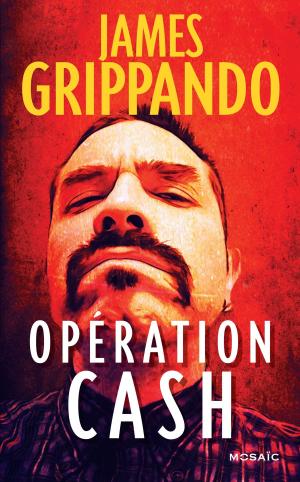 Cover of the book Opération Cash by Lauren Ritz