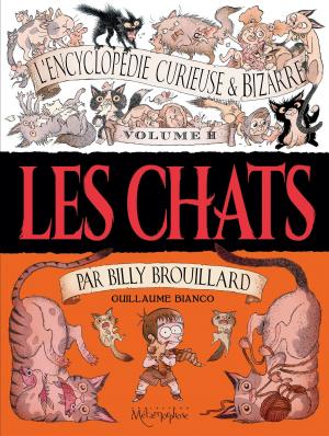 Cover of the book L'Encyclopédie curieuse & bizarre par Billy Brouillard - Volume 2 by Jean-Luc Istin, Laci